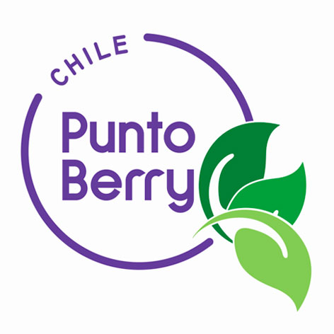 Logo PuntoBerry